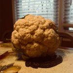 cauliflower