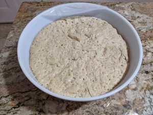 Fermented Dough